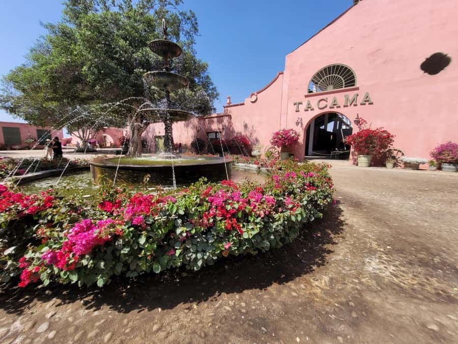 ICA: Pisco and Wine Route with tasting in 03 Wineries - Guide quality and language options