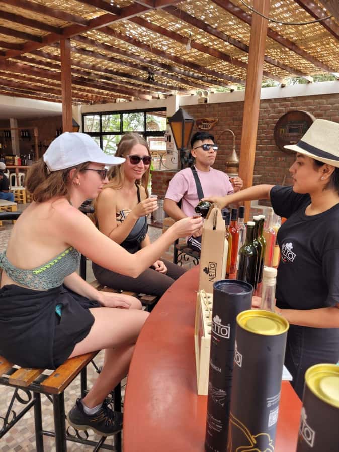 ICA: Pisco and Wine Route with tasting in 03 Wineries - Who should book this Ica wine tour?