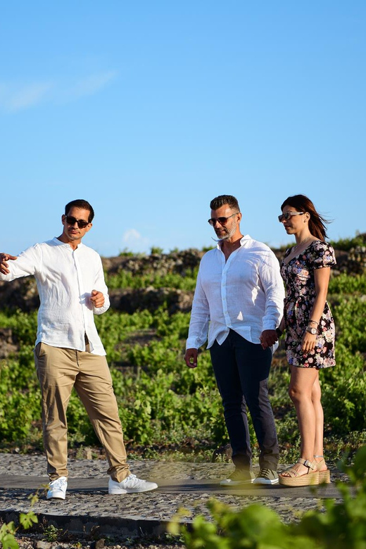 Imerovigli: Premium Wine Tasting with Caldera and Sea Views - Staying for sunset, dinner, or another bottle