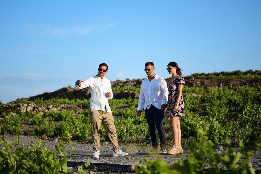 Imerovigli: Premium Wine Tasting with Caldera and Sea Views - Who should book this experience?