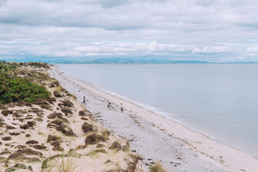 Inverness: Moray Coast, Wildlife and Speyside Whisky Tour - Wildlife stops depend on the season and the route