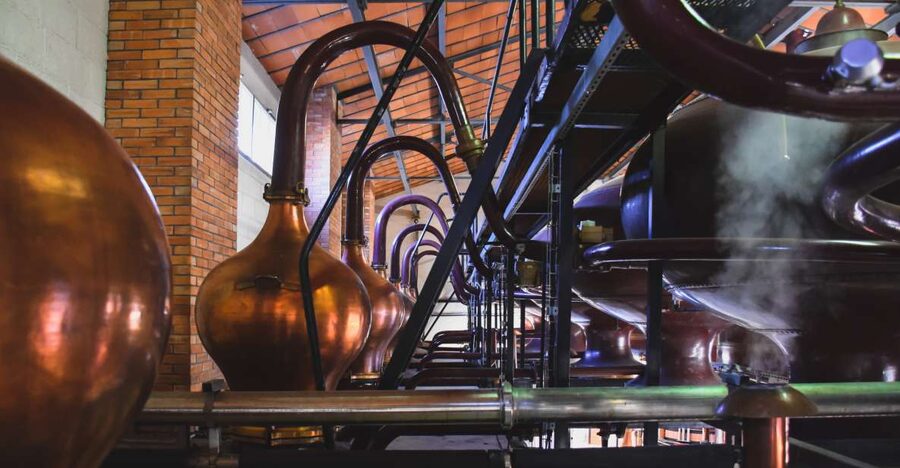 Jarnac: Braastad cognac discovery tour - From vineyard to wine: the first lesson in cognac