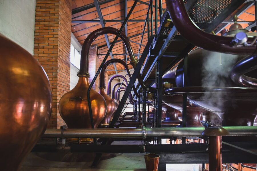 Jarnac: Braastad cognac discovery tour - Is $17 good value?