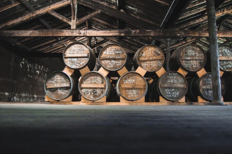 Jarnac: Braastad cognac discovery tour - Who should book this visit?