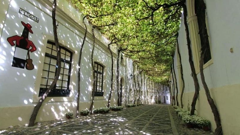 Jerez: 1.5-Hour Sherry Winery and Tasting Tour - Key points at a glance