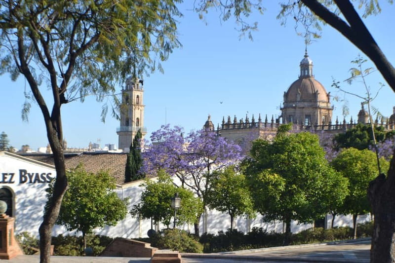 Jerez: 1.5-Hour Sherry Winery and Tasting Tour - The solera system in plain English
