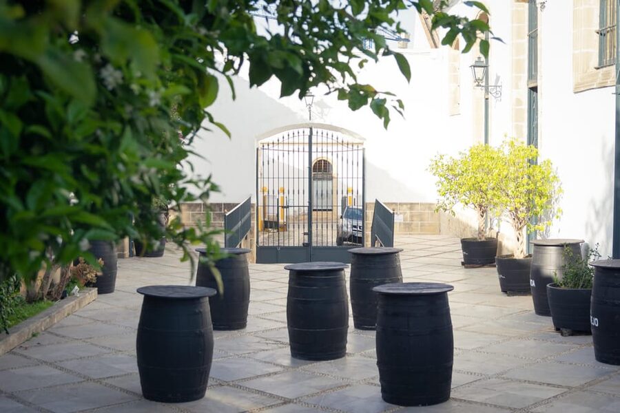 Jerez: Bodegas Álvaro Domecq Guided Tour with Wine Tasting - Key points to know before you book