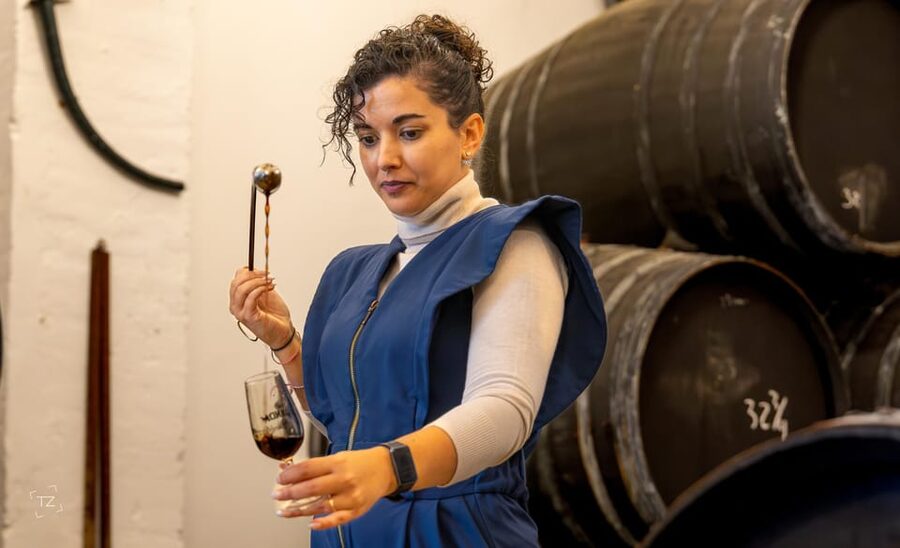 Jerez: Bodegas Álvaro Domecq Guided Tour with Wine Tasting - The guides make the difference