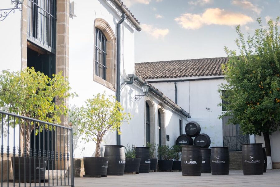 Jerez: Bodegas Álvaro Domecq Guided Tour with Wine Tasting - What you learn about sherry production