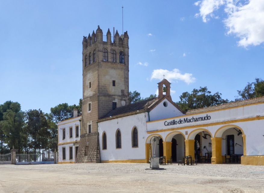 Jerez: Bodegas Fundador Guided Tour with Tasting Session - Entering La Mezquita, the tour’s most unusual building