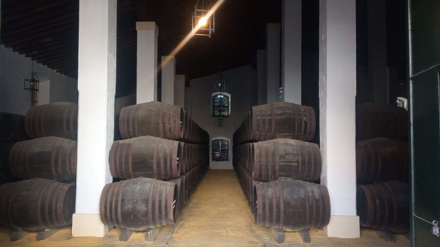 Jerez de la Frontera: Sherry Winery Tour with Tasting - The film gives Jerez its setting