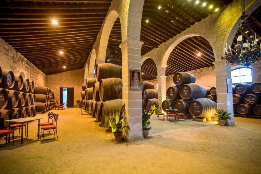 Jerez: Guided Winery Tour with Wine Tasting - The tasting: two wines and a useful introduction