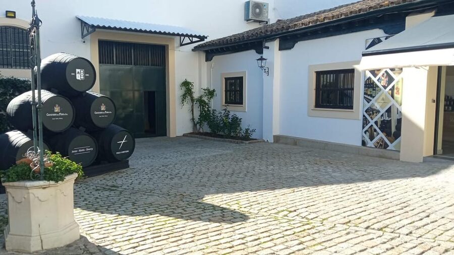 Jerez: Guided Winery Tour with Wine Tasting - Language, timing, and practical planning