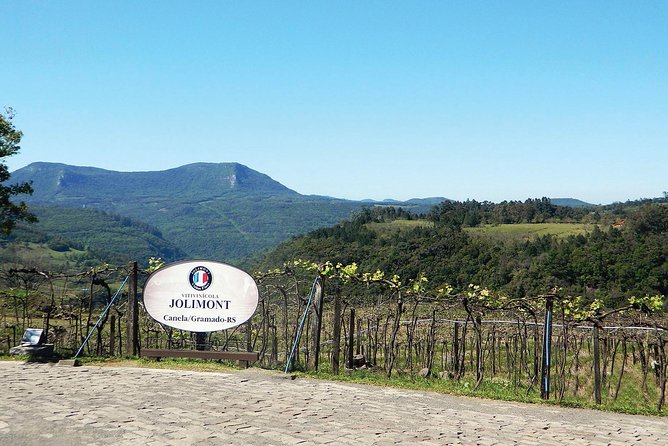 Jolimont Winery Tour - Visitation and Tasting - Canela RS - Booking advice for a smooth visit
