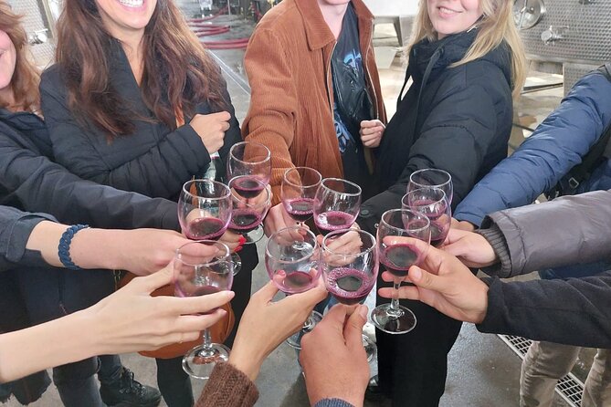 Kakheti Wine Region: Signagi and Bodbe Tour with 10 Wine Tastings - Transport, group size, and the real pace
