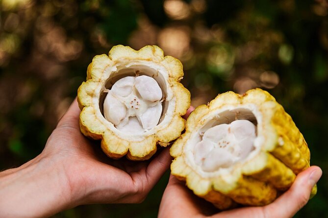 Kauai Chocolate Farm Tasting Tour - Is $145 a fair price?