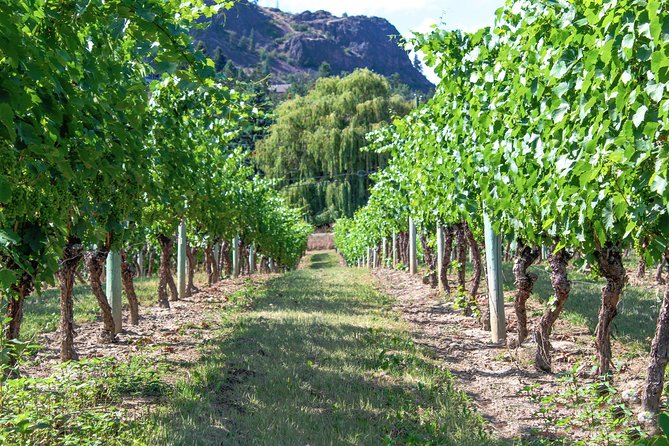 Kelowna or West Kelowna Afternoon Sightseeing Wine Tour - What the guide adds to the tasting