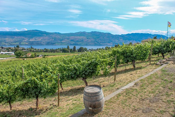 Kelowna or West Kelowna Afternoon Sightseeing Wine Tour - Price, group size, and what you are really paying for
