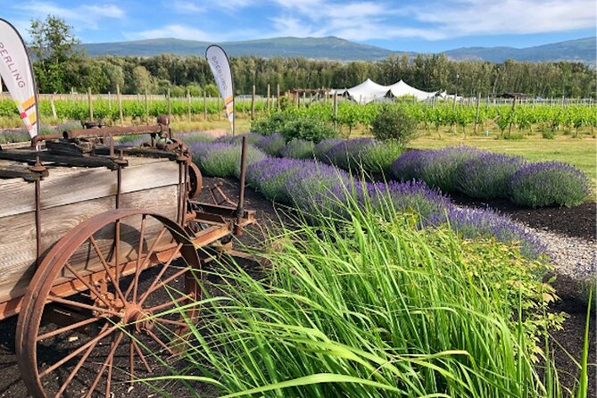 Kelowna Wine Tour by E-bike, Okanagan Valley Views and Lunch - What makes this Kelowna ride worth considering
