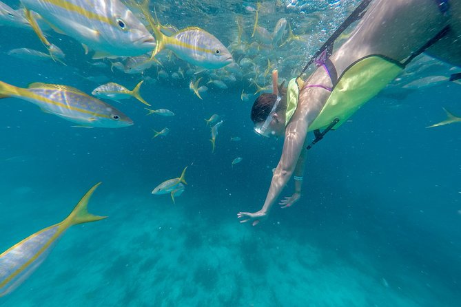 Key West Afternoon Snorkel Sail with Unlimited Cocktails! - Sailing out from Key West’s historic seaport