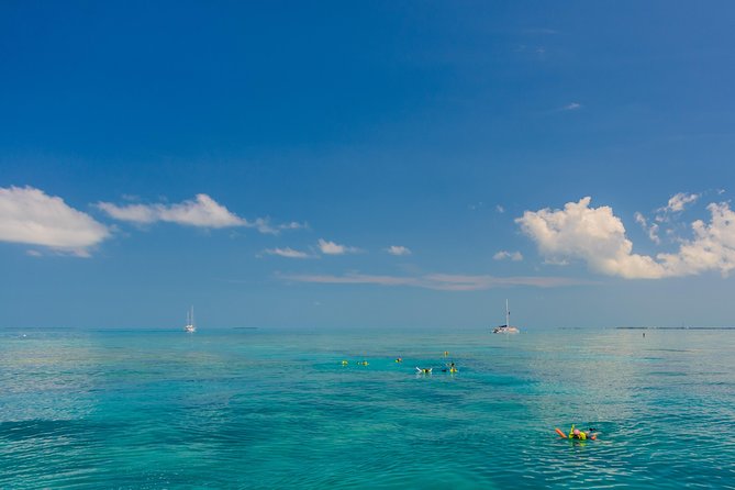 Key West Afternoon Snorkel Sail with Unlimited Cocktails! - Is $59 a good value?