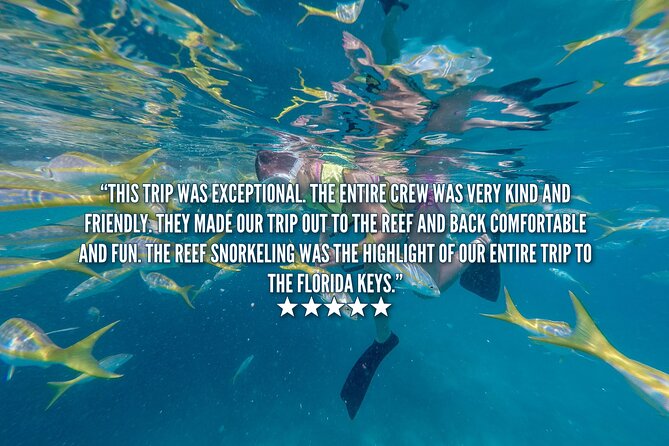 Key West Afternoon Snorkel Sail with Unlimited Cocktails! - My call: book it for an easy reef day