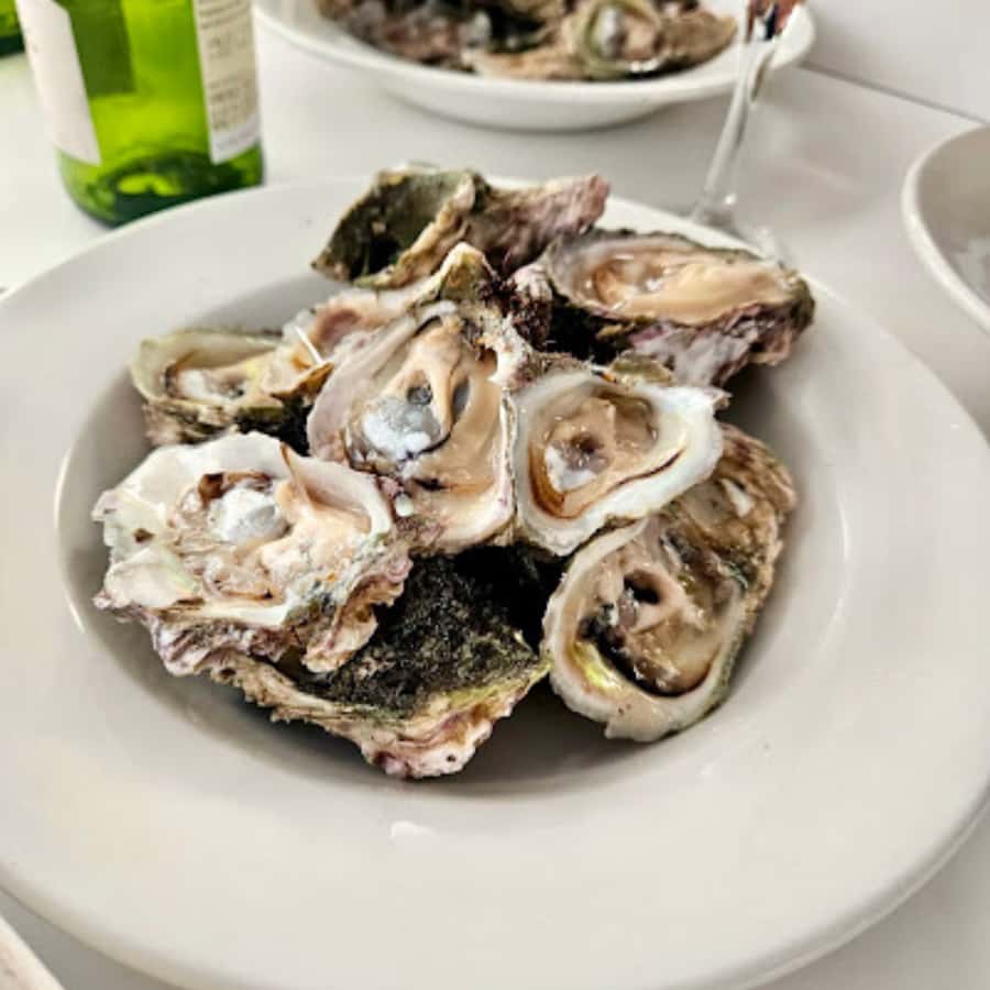 Knysna Lagoon: Boat Cruise with Oyster & White Wine Tasting - Cruising toward the Knysna Heads