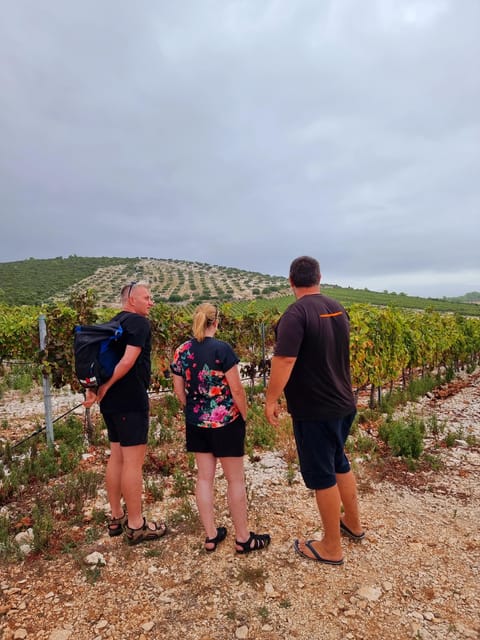Korcula: Buggy Safari with Local Food and Wine Tasting - The hunting room and the family welcome
