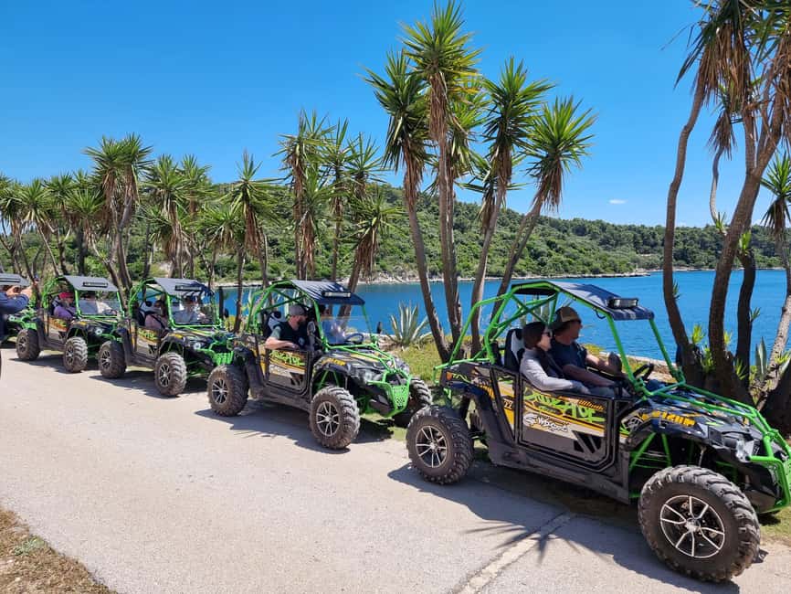 Korcula: Buggy Safari with Local Food and Wine Tasting - Vineyards, olive groves, and wide sea views