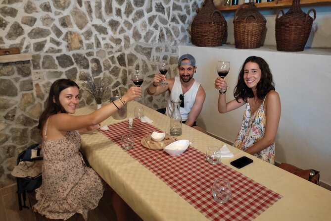 Krka National Park Tour with tour Guide & Wine tasting from Split & Trogir - Who should book this Krka tour