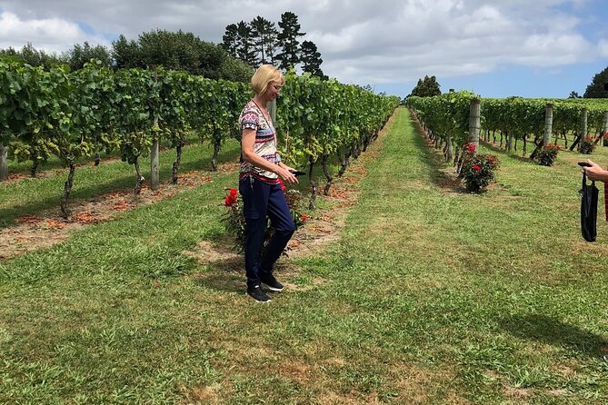 Kumeu Wine Tour - Soljans Estate Winery starts with family character