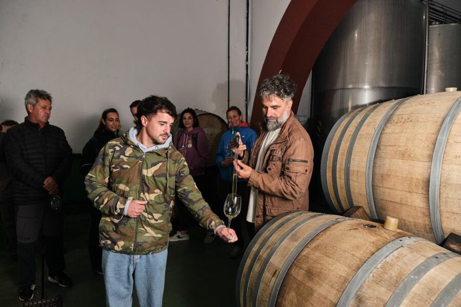 La Palma: Bodegas Teneguia Winery Tour with Wine Tasting - Timing, group size, and the bilingual format