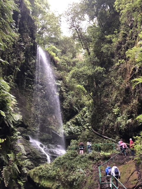 La Palma: North Island Bus Tour with Ron Aldea Distillery - Mirador de la Montaña and the Salto del Enamorado story