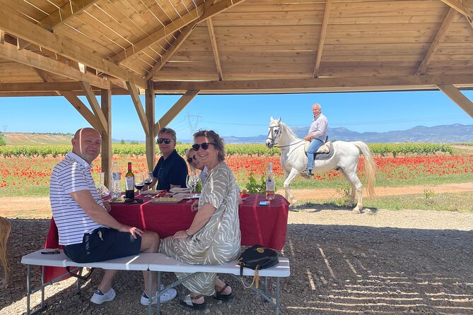 La Rioja Boutique Wine Tour & Charming Lunch (From Bilbao) - The picnic lunch near Laguardia