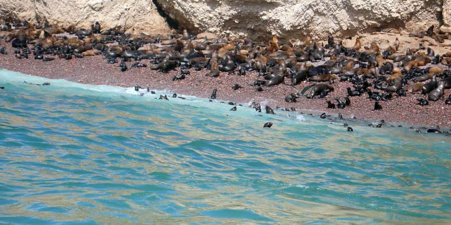 Lagos/Praia da Luz: Wine Tour, Tastings, Tapas, and Music - Timing, language, and cancellation