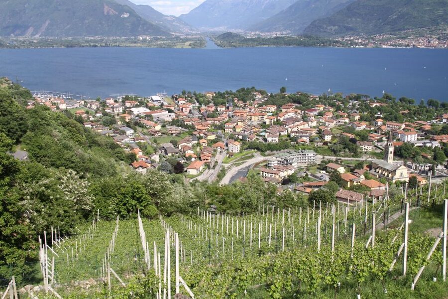 Lake Como: Winery Tour with Wine Tasting - Key points at a glance
