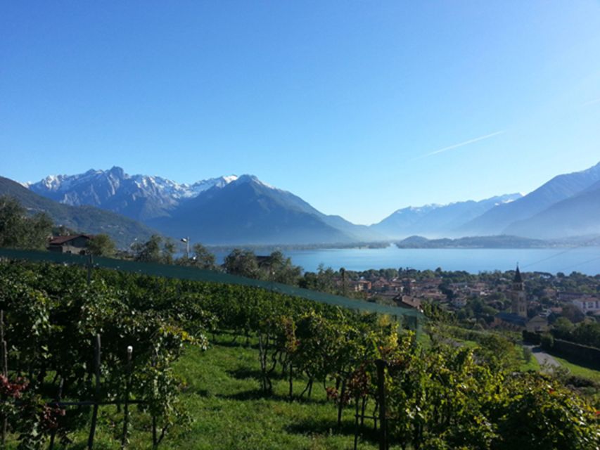Lake Como: Winery Tour with Wine Tasting - Practical planning for a smooth visit