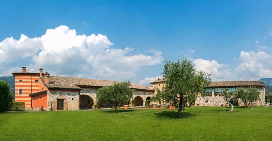 Lake Garda: Garda Hills Wine Tour and Tasting - A short walk among the grape varieties