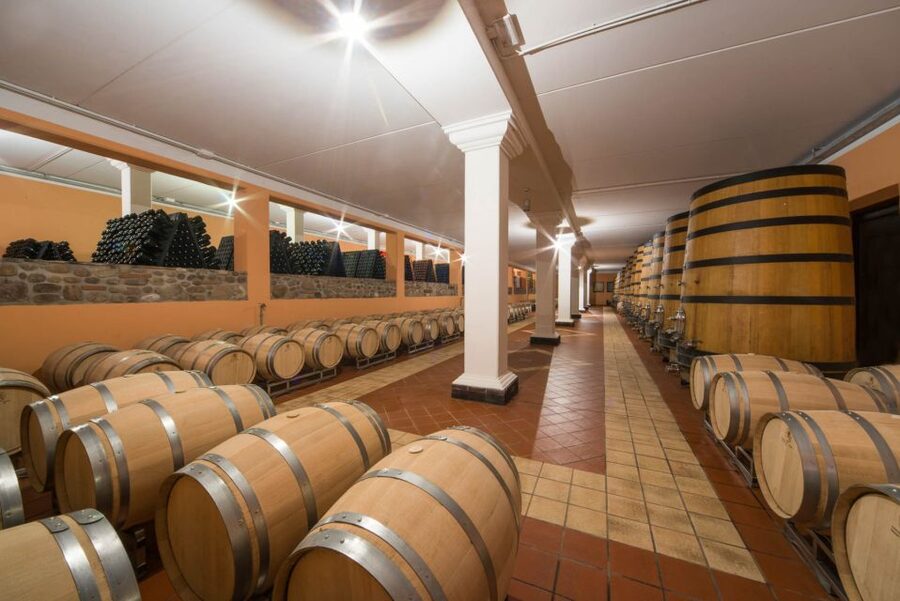 Lake Garda: Garda Hills Wine Tour and Tasting - Four wines with Garda food