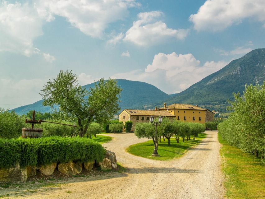 Lake Garda: Garda Hills Wine Tour and Tasting - Who will enjoy this estate visit