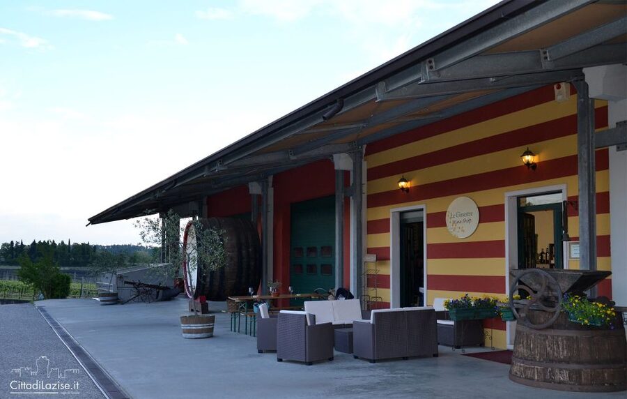 Lake Garda: Wine and Food Tastings in the Vineyards - Is six wines in two hours good value at $50?