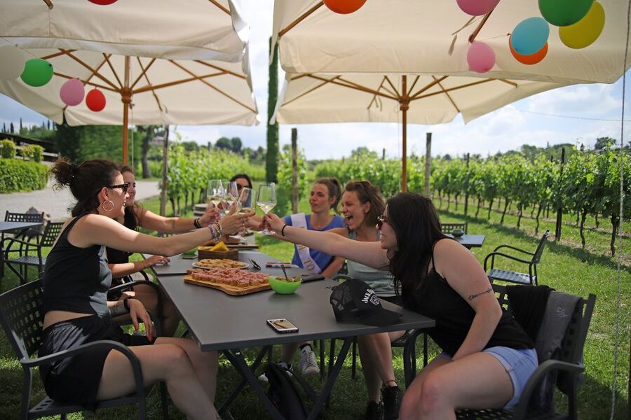 Lake Garda: Wine and Food Tastings in the Vineyards - How the tasting usually unfolds