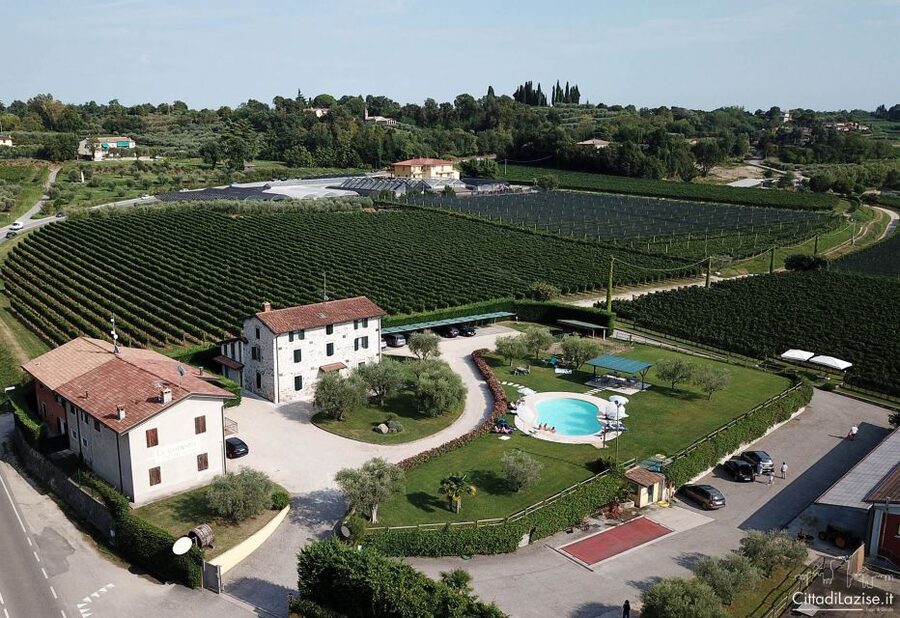 Lake Garda: Wine and Food Tastings in the Vineyards - Who should book this Lazise tasting?