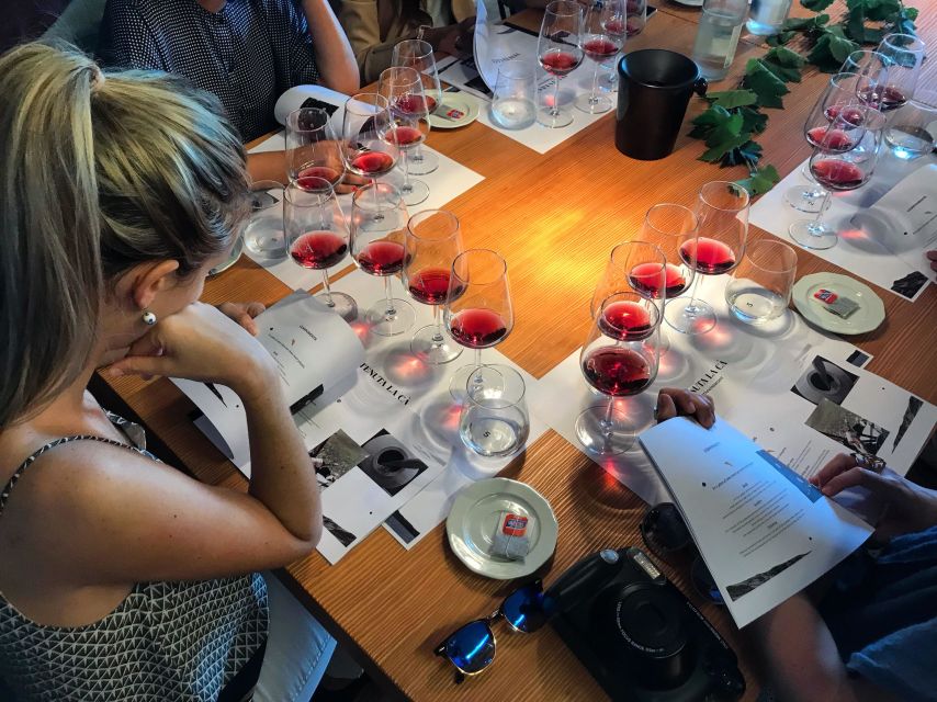 Lake Garda: Wine Tour and Tasting Experience in Bardolino - A short winery visit with a clear purpose