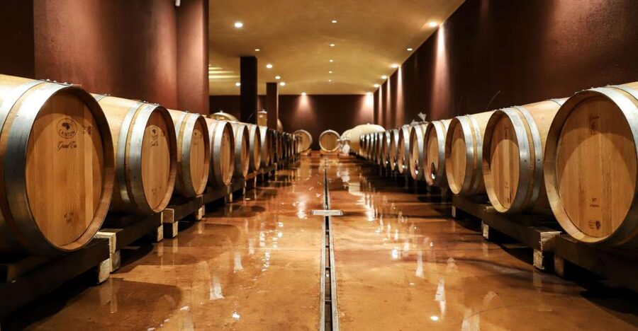 Lake Garda: Wine Tour and Tasting Experience in Bardolino - Tasting two red and two white wines