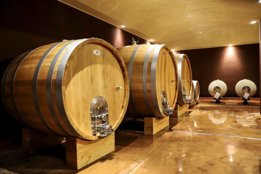 Lake Garda: Wine Tour and Tasting Experience in Bardolino - Lake Garda views and the Bardolino setting