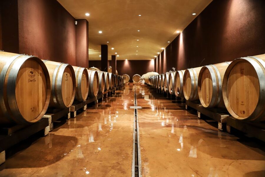 Lake Garda: Wine Tour and Tasting Experience in Bardolino - Touring the production rooms