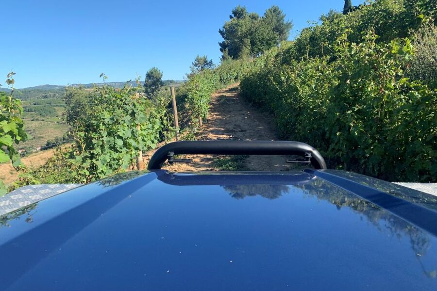Lamego: Quinta da Portela de Baixo Winery Tour and Tasting - Is the $35 price good value?