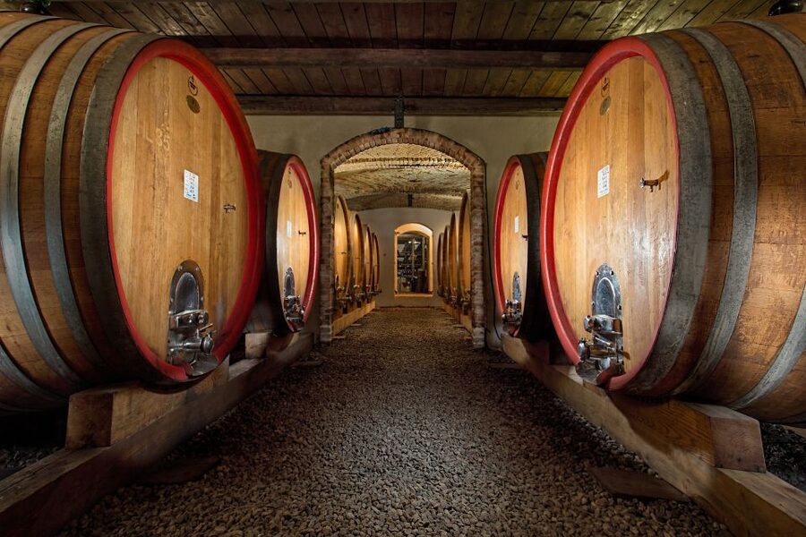Langhe: Winery Tour and Wine Tasting - Meeting the sommelier and getting the most from the explanations
