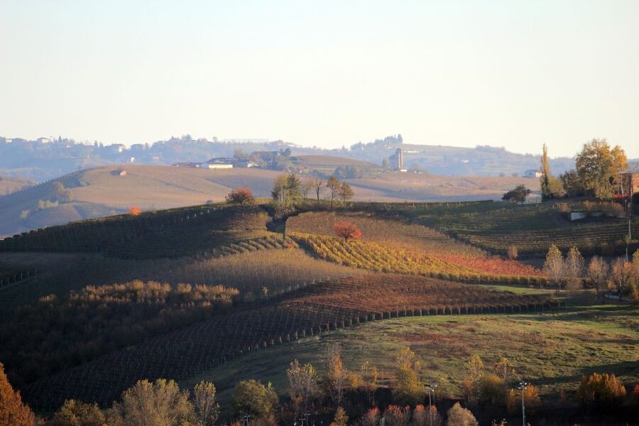 Langhe: Winery Tour and Wine Tasting - Cellar atmosphere and the sense of place